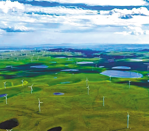 天苍野茫 风吹草低