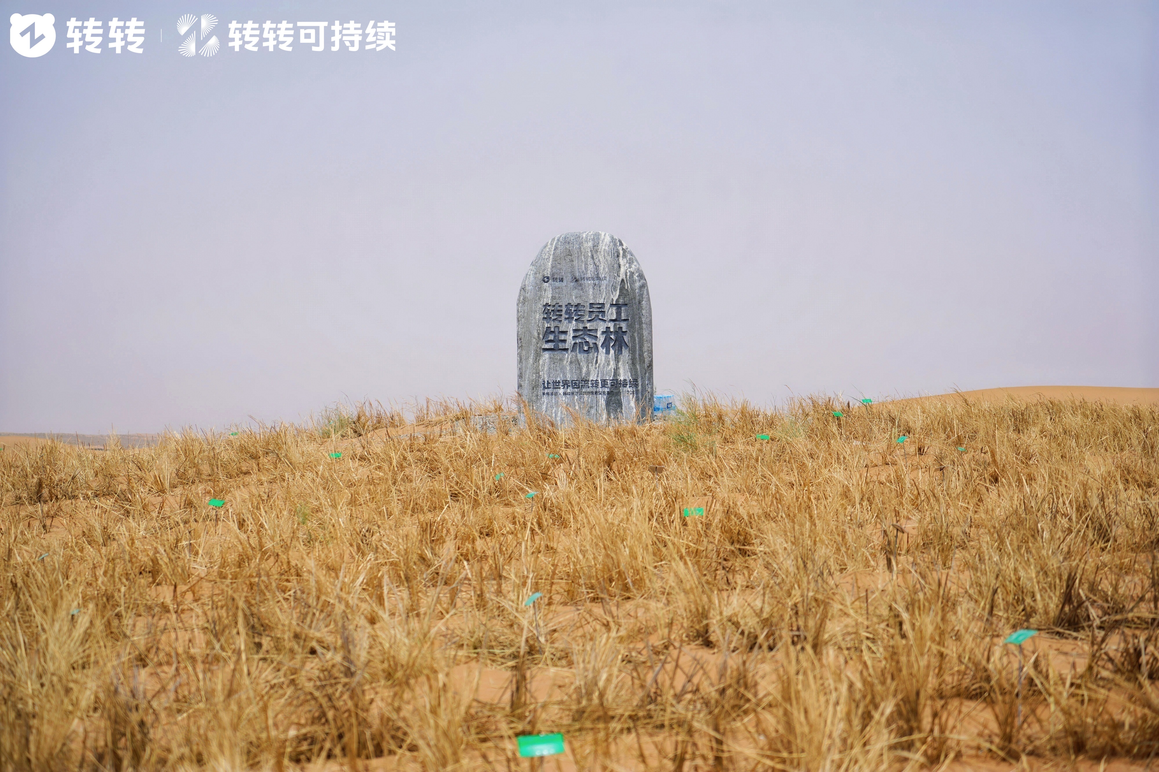 如图片无法显示，请刷新页面