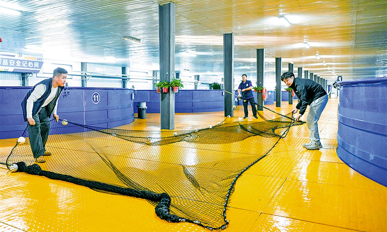 陆基循环水养殖打造“草原海味”