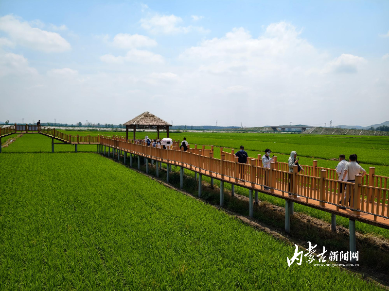 IMG_20260629_114121.jpg