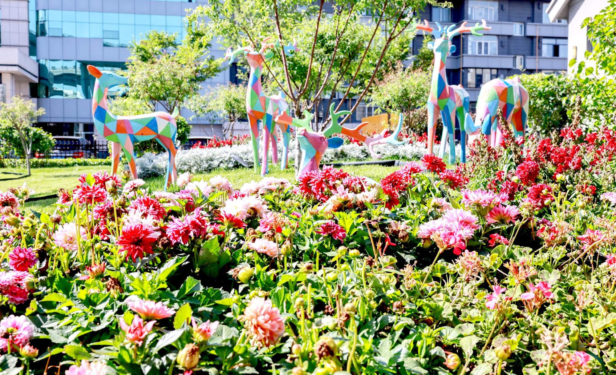 青城花境盛放