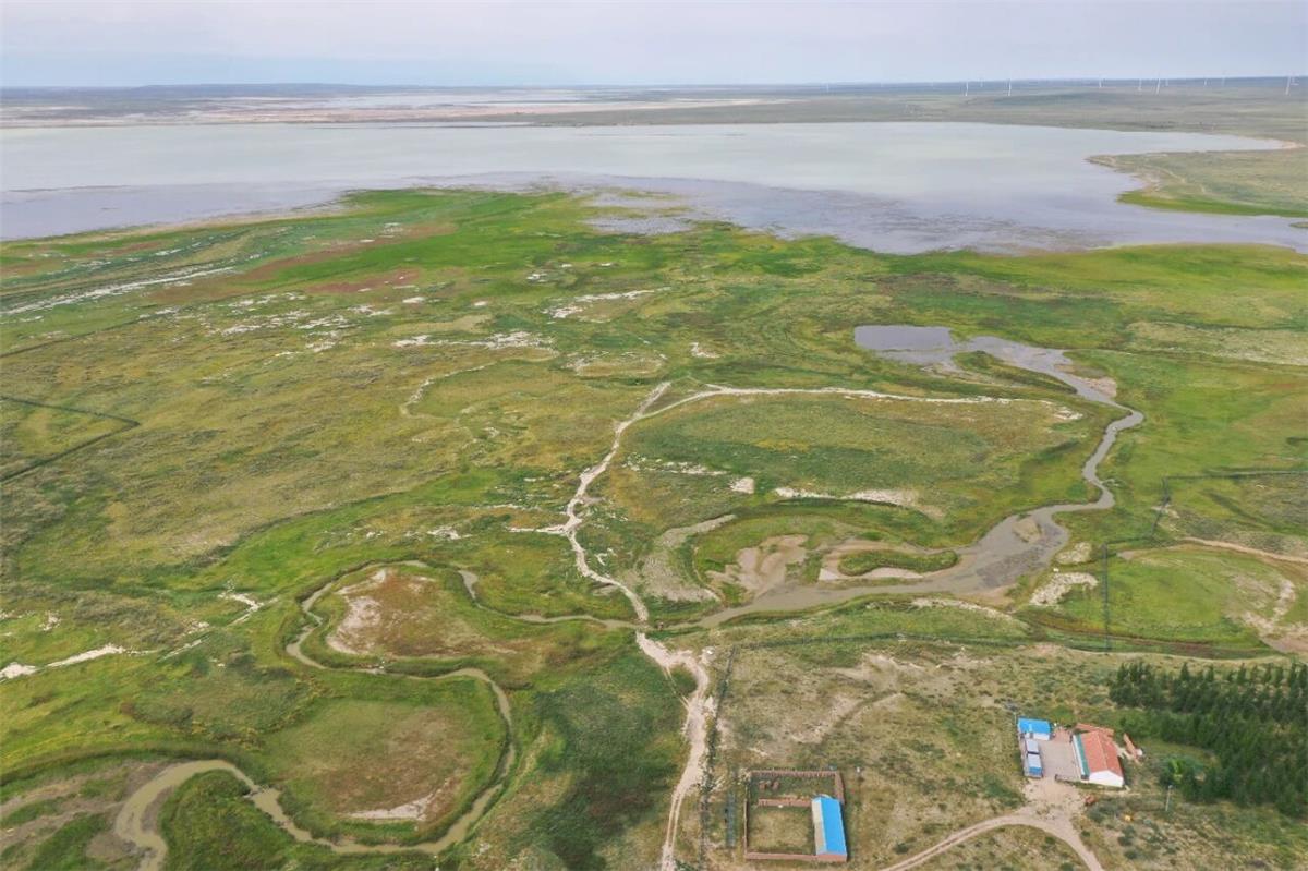 植被覆盖率提升30%水土流失量削减50%入湖污染物削减率超40%查干淖尔湖生态复苏