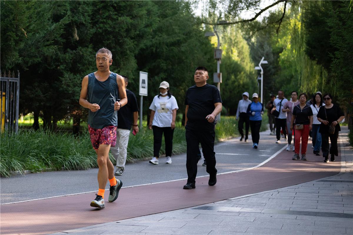 薄衫漫步暖阳正好