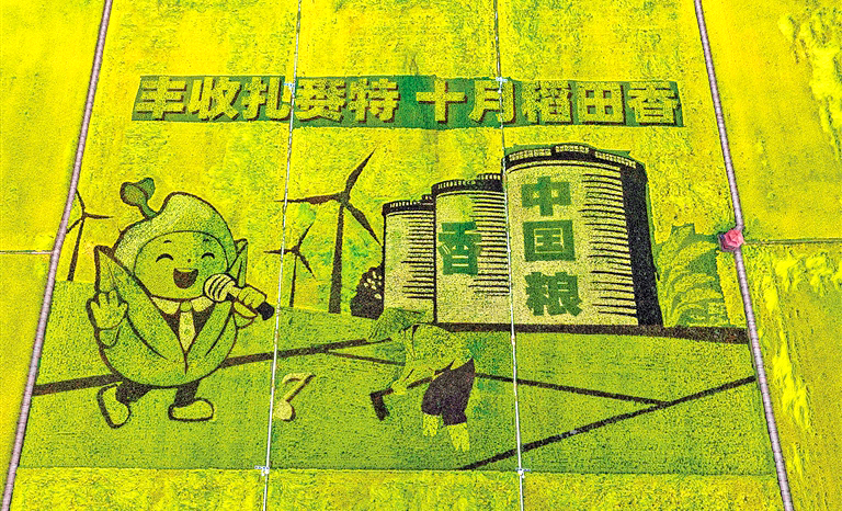 以稻为墨绘良田