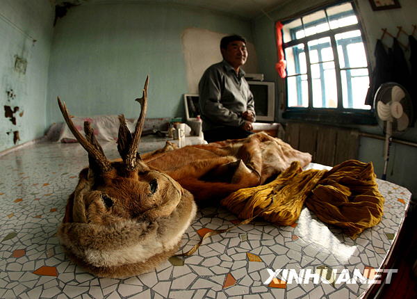 鄂倫春獵民特色旅遊致富路