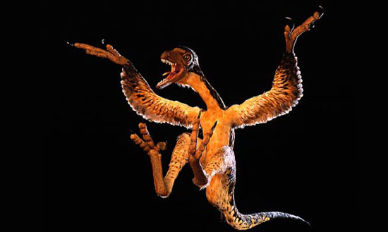 科学家首次找到毒恐龙 最早在华境内发现(图)