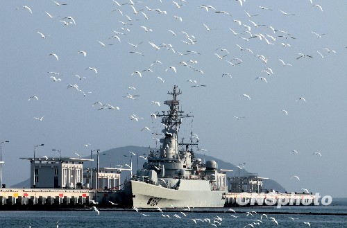生态军港美如画喜迎鸥鸟来安家