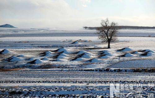 内蒙古自治区降低灾害影响农牧业开局良好