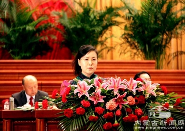 斯琴塔娜:对待民营博物馆应一视同仁