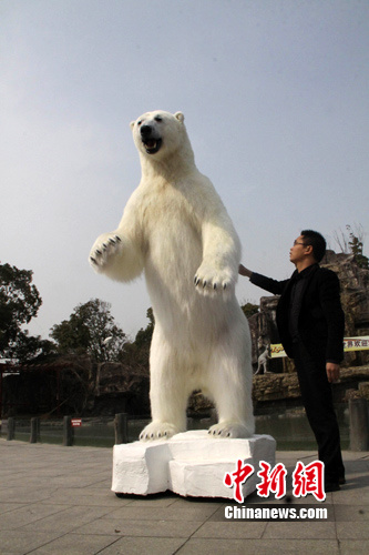 北极熊与制作者徐卫勇
