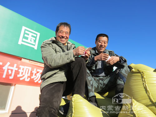 收入19000多块,清水河县王桂窑乡高茂泉村农民李三宝来一边数钱一边对