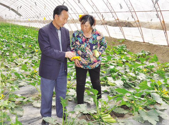 技術特派員進大棚指導農民種植西葫蘆.記者施佳麗攝