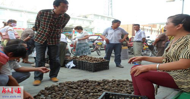 贺蘑上市受青睐