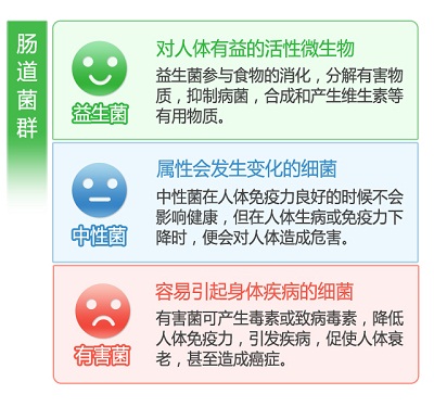 你知道吗,你的免疫力有七成来自于肠道!