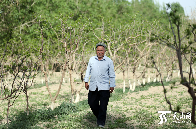 【新疆人的一天】和田人阔步走在以现代文化为引领的路上