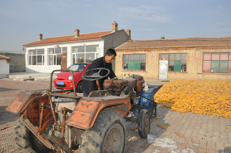 "想再买几头牛,增加点收入!"这是王利平朴实的新年愿望.