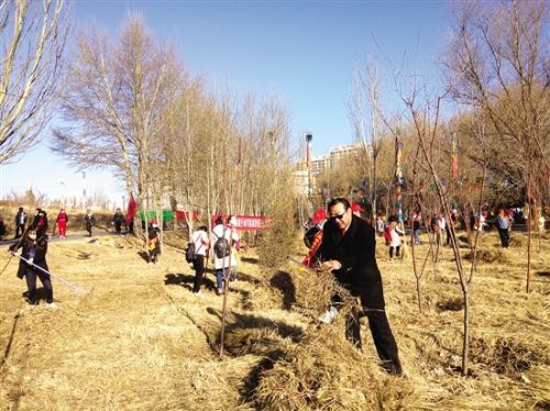 丁耀先带领环保志愿者在赛汗塔拉城中草原植树