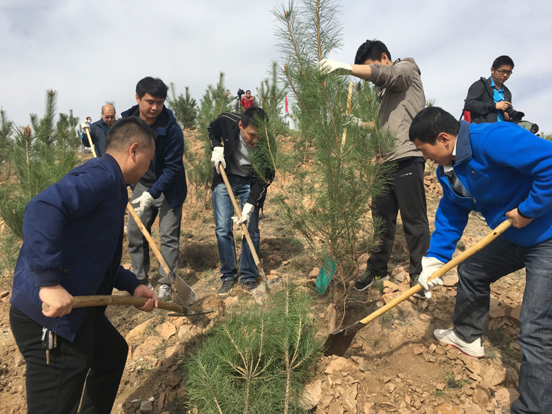 撸起袖子加油干!包头市2万余人大青山南坡植树