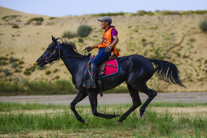 【定格】蒙古马向前冲!
