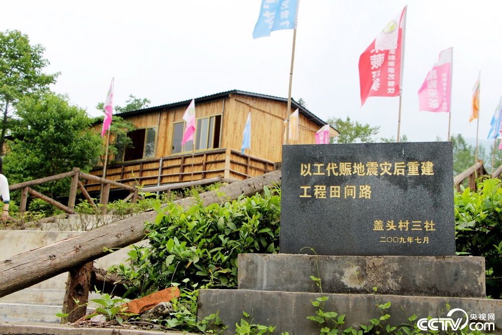 随处可见灾后重建的田间柏油路.