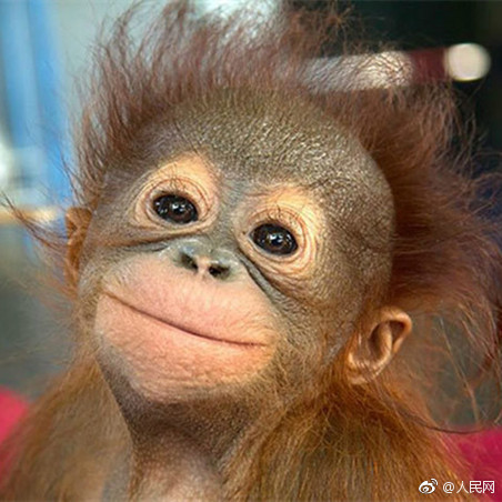 今天,请拒绝假笑!