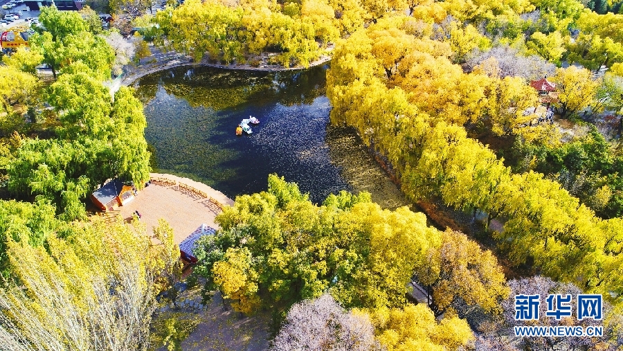 深秋的呼和浩特滿都海公園寧靜美麗.新華網發(樂炎攝)