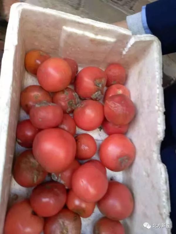 米的房屋内看到,有两名工作人员正在从事快餐食品原料的切配与炒制