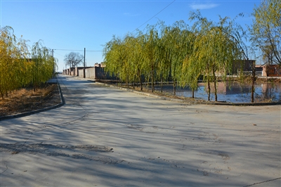 内蒙古新闻网 新闻中心 要闻 农牧新闻      老刘是杭后蛮会镇红丰村