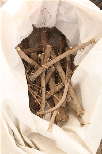 三产融合,种地种出"新花样"-经济-内蒙古新闻网