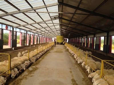 科技创新为"天赋河套"注入新活力