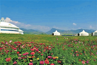 蒙草草博园里的生态密码