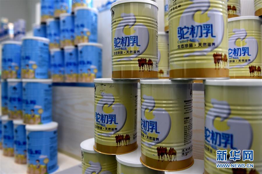 产业化促阿拉善双峰驼数量增加