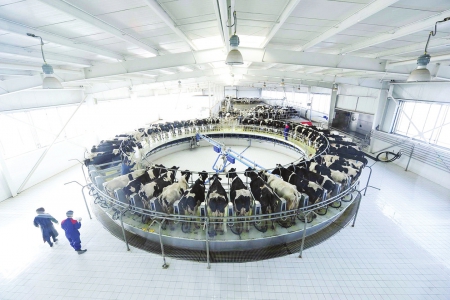 伊利液态奶先进的自动化包装生产线