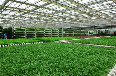 【新时代 新作为 新篇章】农业科技示范园区带动巴彦淖尔市"四控"行动