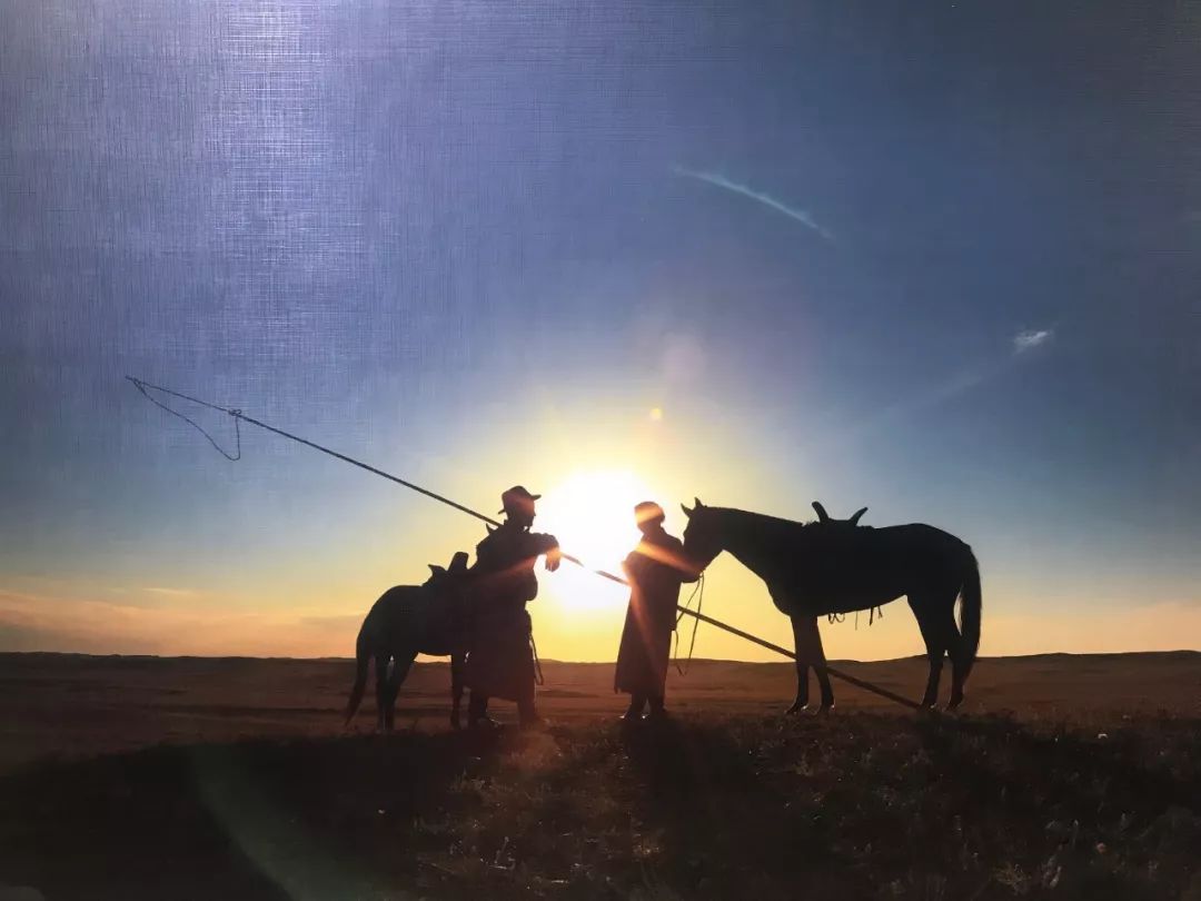 动人的瞬间   看着他们那笑容 让人不得不幻想 一段草原上的马背爱情