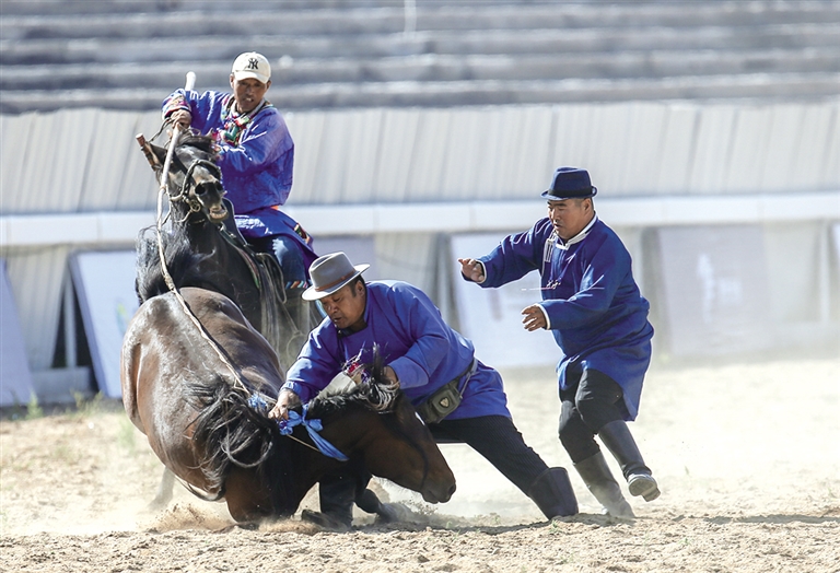 烈马嘶鸣|"蒙古马"国际驯马大赛在这里精彩上演