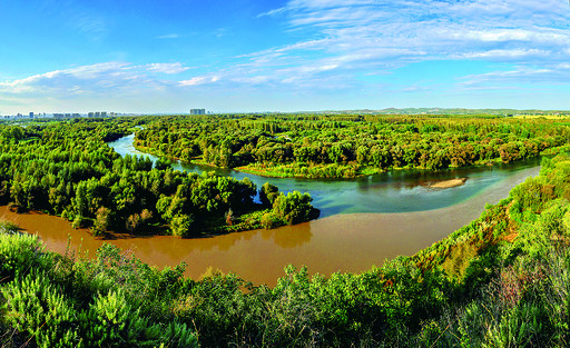 洮儿河国家湿地公园生态逐步恢复