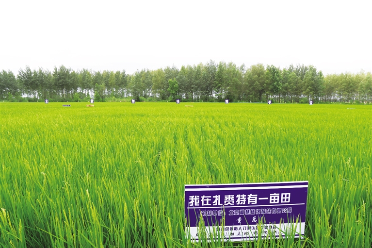 私人订制"我在扎赉特有一亩田".