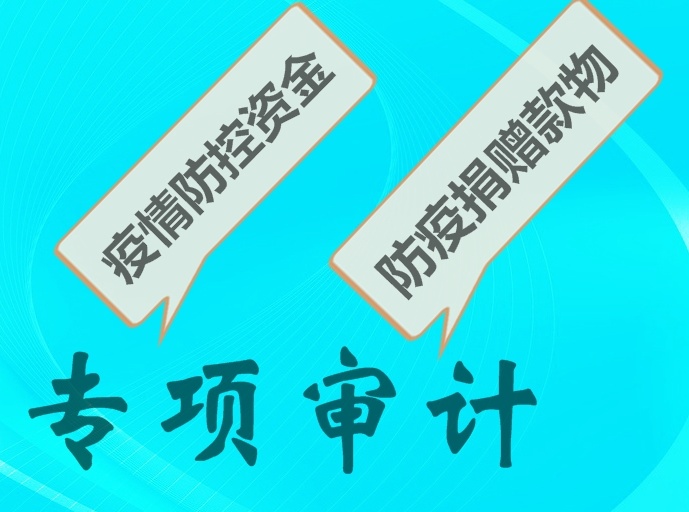 【产经】我区部署疫情防控资金和捐赠款物专项审计工作