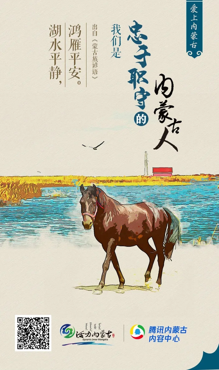 什么是蒙古马精神我们用实力硬核诠释