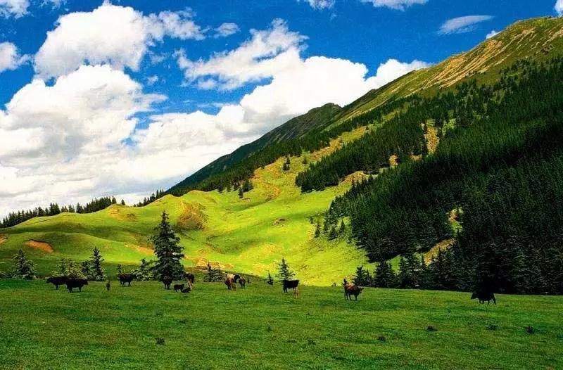 穿越苍天般的阿拉善 邂逅万般风情