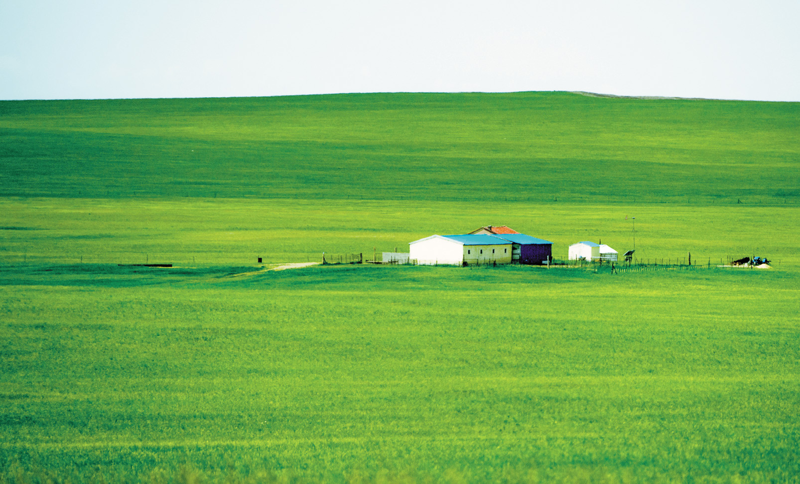 初夏时节,内蒙古中部的锡林郭勒大草原风景如画.新华社记者连振摄