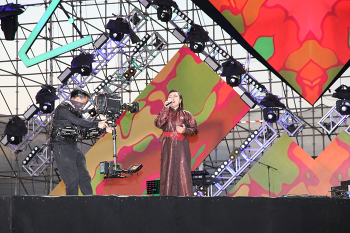 孟根花演唱《鸿雁》