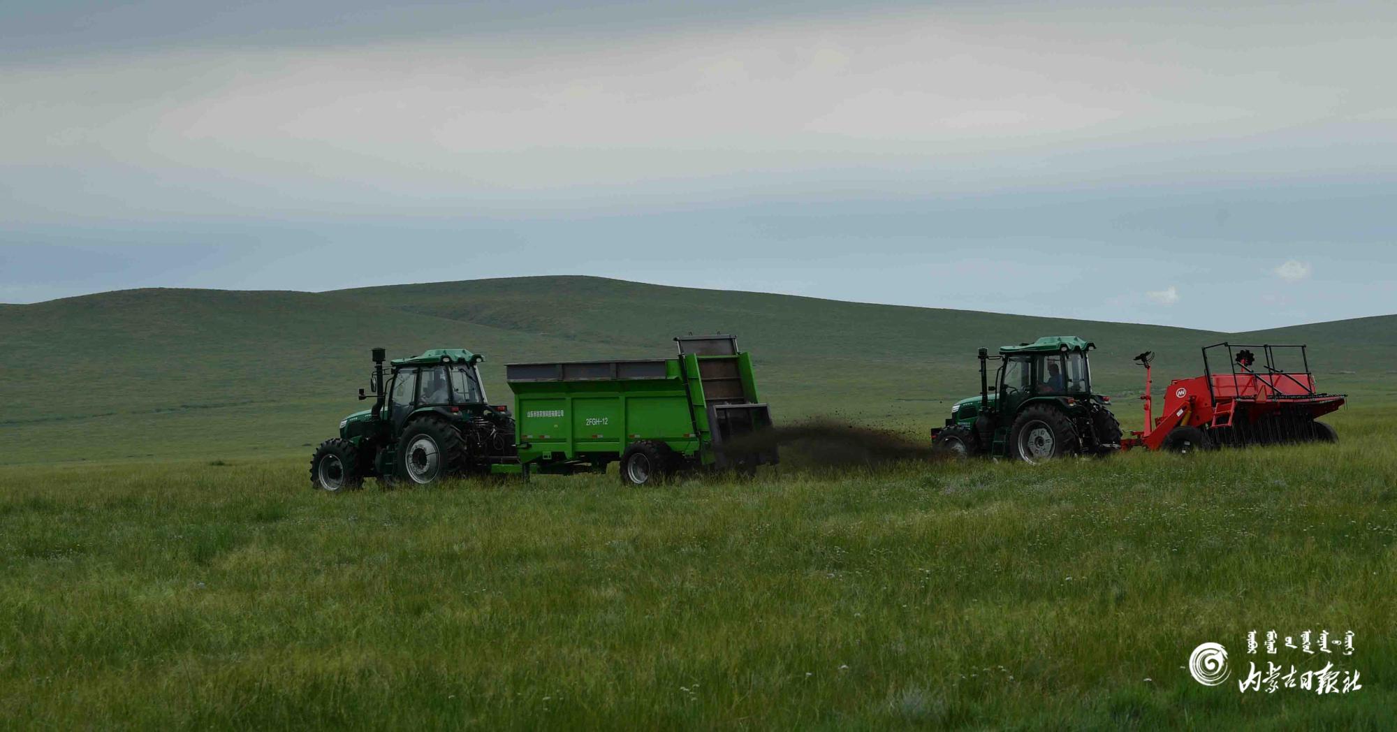 守护草原最美底色-新闻中心-内蒙古新闻网