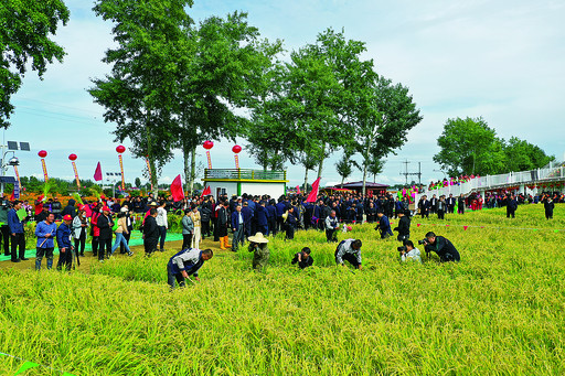 扎赉特旗第二届农民丰收节盛大举行