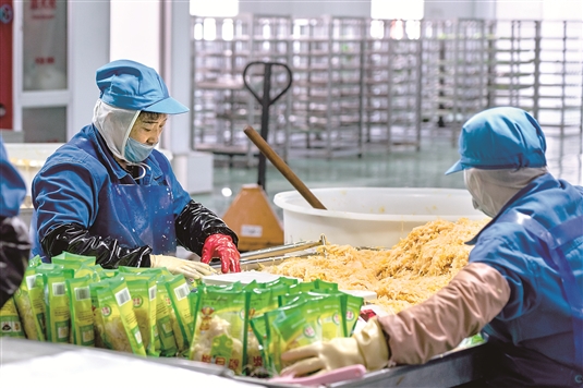 固阳县农村办起了酸菜加工厂,把加工包装好的产品销往城里,实现增收.