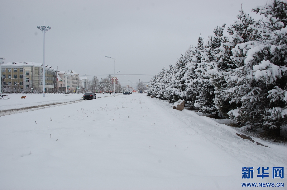 內蒙古呼倫貝爾地區普降大雪