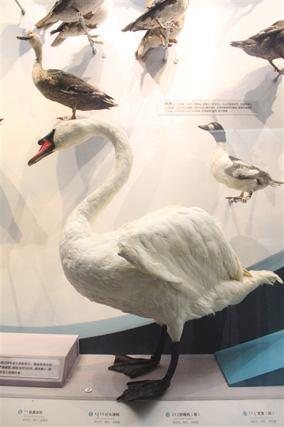 走进"壮美内蒙古" 领略自然好风光-北国风光-内蒙古新闻网