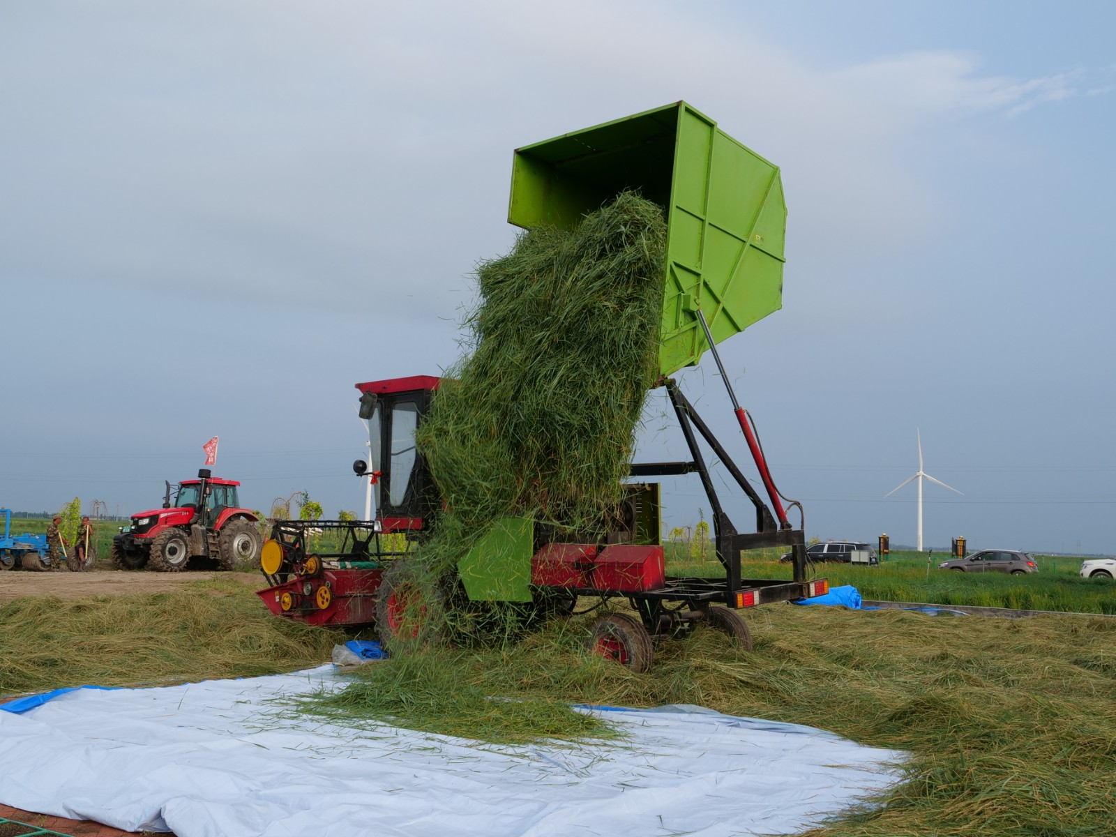 全国首个"中科羊草小镇"收割忙
