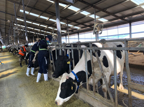 first战略坚定落地 十四五开局之年蒙牛收获亮眼业绩-经济-内蒙古新闻